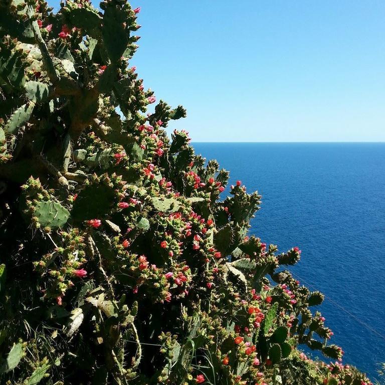 Hotel St. Leonard Forio di Ischia Exteriör bild